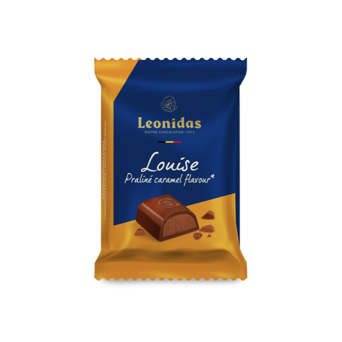 100g Leonidas Chocolate Bars